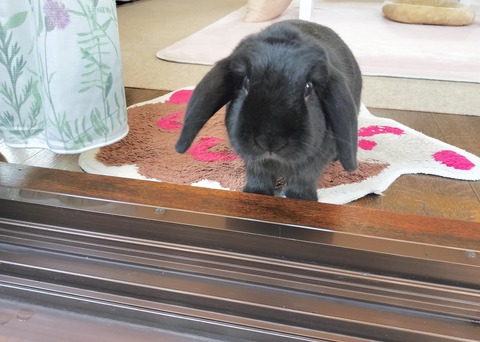 1B6C5F4F-4658-44AF-9A96-5AECB039B95A