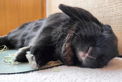 DC34F218-B5DA-4CF0-9DAA-03A12EDEAC7D