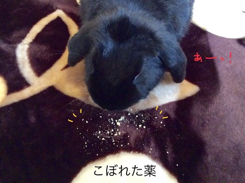 F068DA6C-C958-48FA-8101-B0FED7DC7484