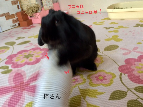 43B3F13F-2038-40F9-8EBC-883B200AEB8D