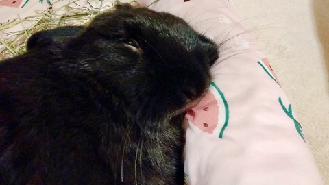 DF7F2AB2-90F8-44A1-8CD3-DDEAD3ED9A0C