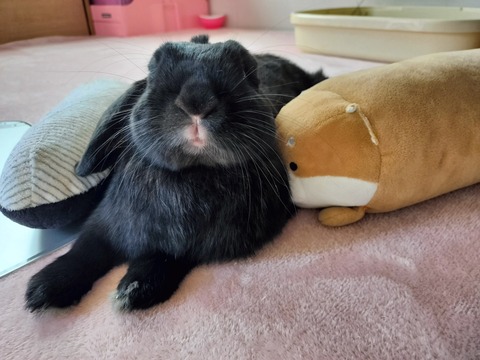 E22FC2C3-7512-445F-A973-49759AD376C9