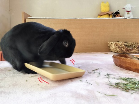 69E5D8AF-DDA4-4C54-B0BD-7E0C9272A98B