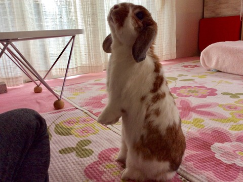 9ADFB658-47F4-45BA-9974-D74CFA61C970