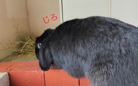 7A78ED3C-3D5E-428E-805F-1B3798796792