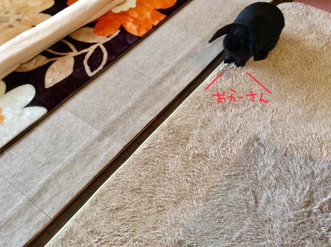 DB96FFC9-FB61-4194-B72D-089D7709A9F3