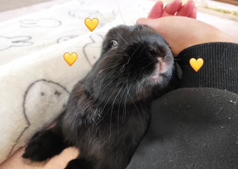 11B3A959-464F-43D4-BC51-CA96DD55D908