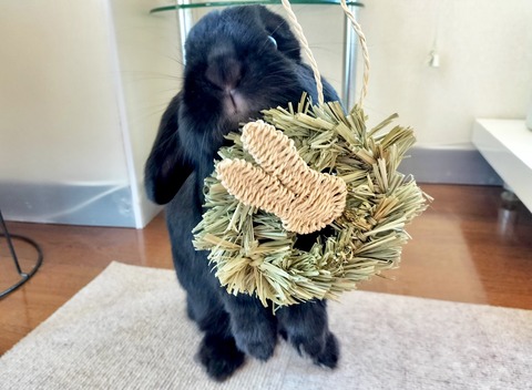 9BC84B25-7AD2-412A-9808-45E4156C290E