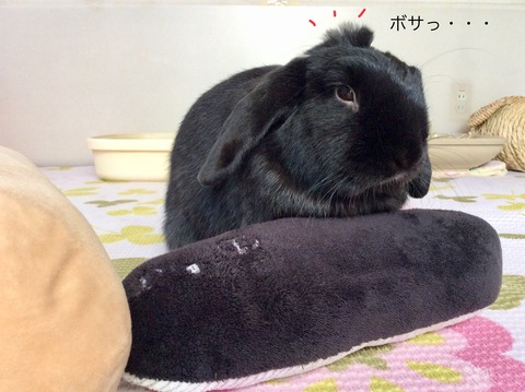 146E9F9A-1BCC-46E5-BC52-E0AFF55B38F4