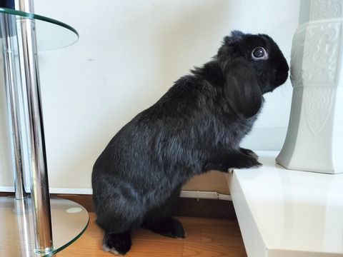 1063CBDC-A0E3-487B-AC63-D14DEEF2E830