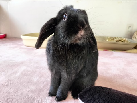 42637C16-D26C-430F-BC5D-0F5ED95C935D