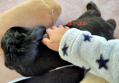 EB03623A-6F6D-4406-BFEF-E2DE99F1F6C5