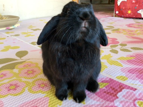 0C70C2AC-2361-4A9C-9FFD-9A7E28067235