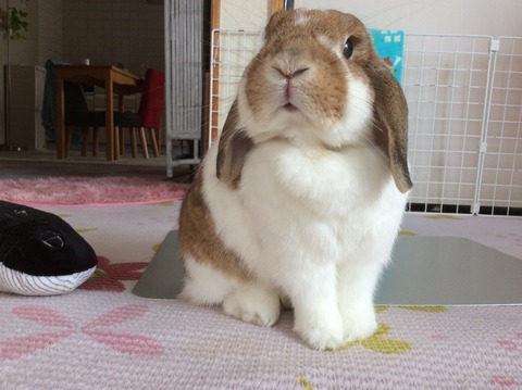 A9F30CBB-3F07-45FF-9BB1-002E04A39A48