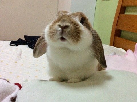 C2248A67-ABB8-4D4F-8383-5096C9415EEA