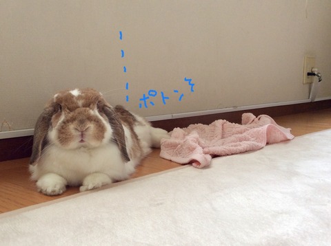 9BBA6D2B-5AAB-429E-8504-1FD4AF317FEC