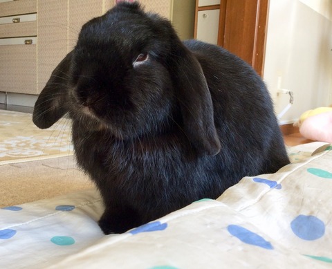 73D5A4B0-E6DA-4AB0-807C-49837AFD527C