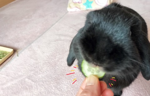 4441C6EA-74F2-43C0-AA8A-77159B988EBA