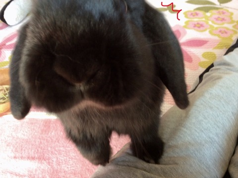 31E82E13-9D0F-4E8E-BB25-FDF0E359D5E7