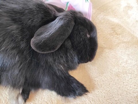 05BC770D-CE90-42BC-B0EB-0B1111672144