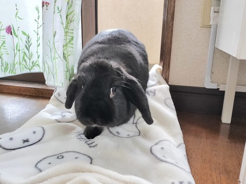 3D83C824-B5F2-4689-8ADE-637CB1784B93