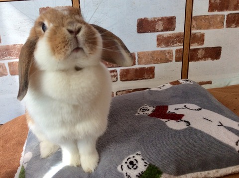 04CF8C39-E1EA-49DC-814A-0140BFA2F81A