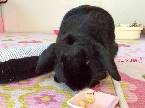 B198BBF5-F8E6-4A24-A58E-BC4605288378