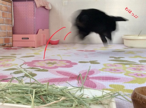 815D5EEF-5374-4CC2-9B78-1BF51299F10B