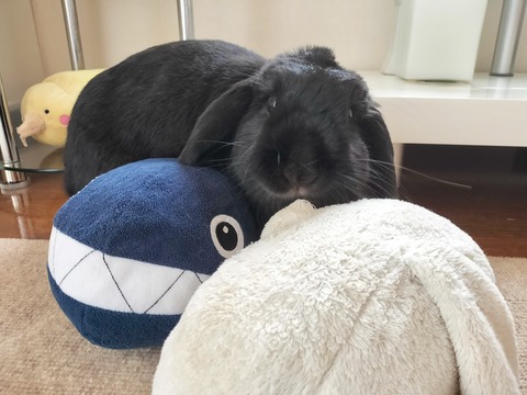 8FFD6F22-585D-4C34-912C-90BB01EA3392