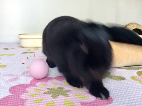 21AC6268-59D8-40CF-8A22-AD69F2D1EC99