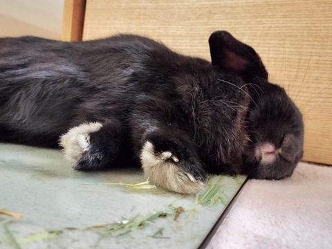 5DAA47A6-D9E3-4466-8390-AEAE94AAE12F