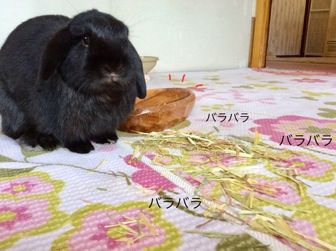 93212163-C247-4F5E-B2C0-7FC3422717D8