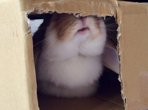 D85D61C7-94DF-4818-AA7E-DF81BDCF5653