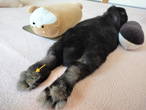 312B8460-2656-4AE7-BB78-85CEF4382747