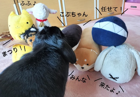 46534128-8DAF-4EF1-B547-740A07114F82