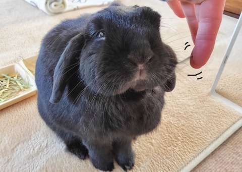 49D2E28B-4496-4EDF-90E5-70C90C8DE318