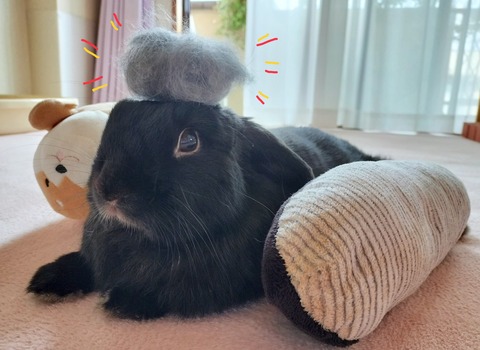 A2F0FE38-8262-44CD-83D9-A223CD0AF4BD