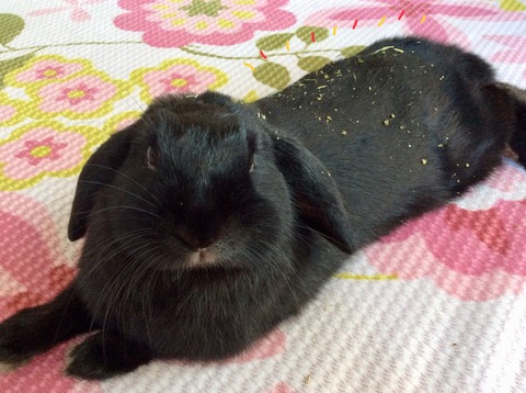 A2A12C6E-F85B-4156-8E08-41043BC90D73