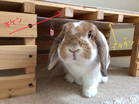 BC805367-270A-451C-9402-BBA533DB96AD