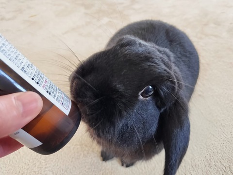 C58726AC-4F06-4626-9688-1B73443582A3