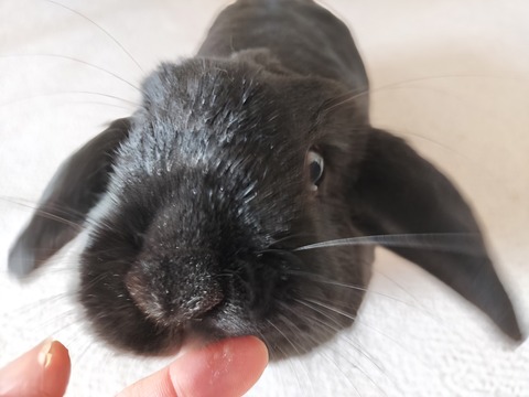 02BDB166-0E99-4B65-AA63-6D3F35A8273C