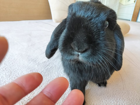 93B8F2B3-4D6F-4CB7-8C52-8940FE366419