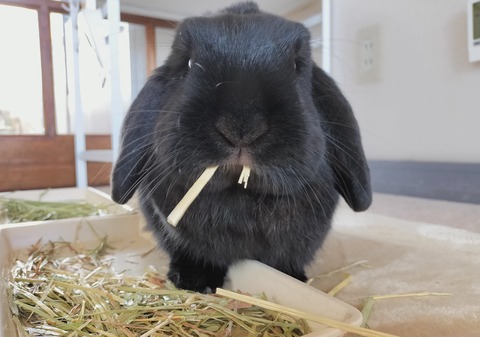 EE9C6312-AB99-46D0-B962-A9F45CB6A2A5