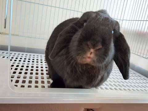 5C71C8B1-8B23-45A0-A9BE-BE9AB0D65D8C