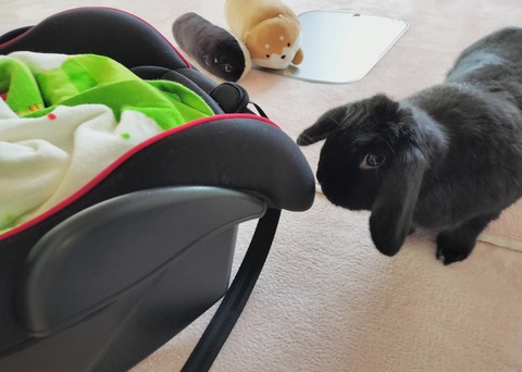 BDA633D8-8E3F-4008-8508-BEE6B4E33B46