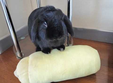 4418ADE2-627D-4751-8771-F42AA15446B9