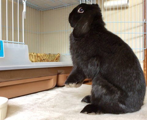 066374EE-4266-4DB8-B563-3DF4F34809EB