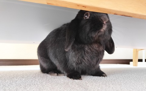 06DA1EB7-9033-43C5-B88A-115D024B9B1C