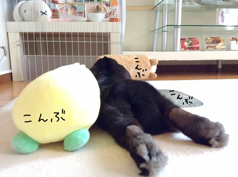 309384D6-5211-46D2-B1F0-CF957435F3A1