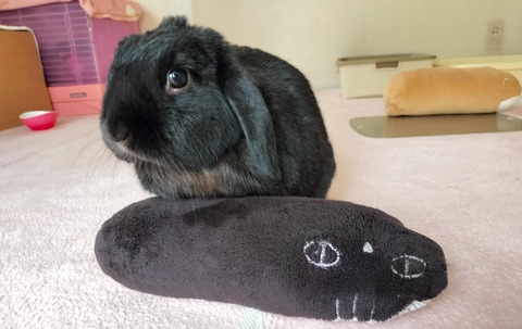 A2CDB2EA-51D0-4ABD-9518-32E6A53F0D4C